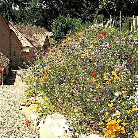 Bed and breakfast Domaine Des Marequiers Silene 3*