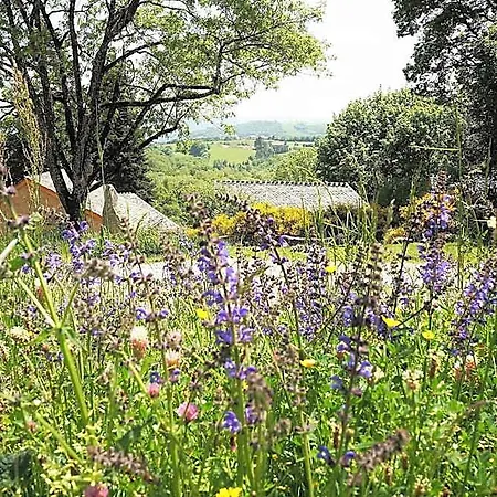 Bed and breakfast Domaine Des Marequiers Silene