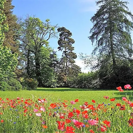 Bed and breakfast Domaine Des Marequiers Silene Saint-Germain-du-Teil