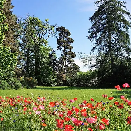 Domaine Des Marequiers Silene 3* Saint-Germain-du-Teil