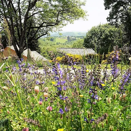 Domaine Des Marequiers Silene 3*