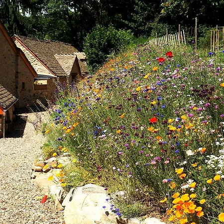 Domaine Des Marequiers Silène Saint-Germain-du-Teil