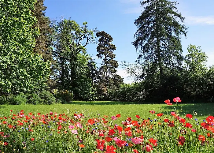 Domaine Des Marequiers Silene 3* Saint-Germain-du-Teil