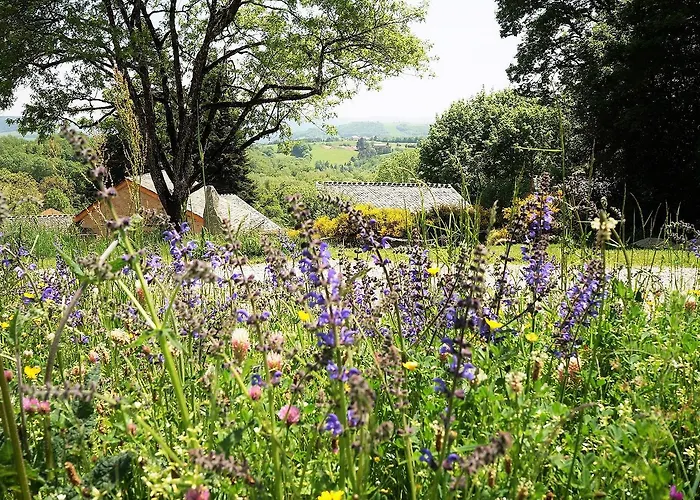 Domaine Des Marequiers Silene 3*