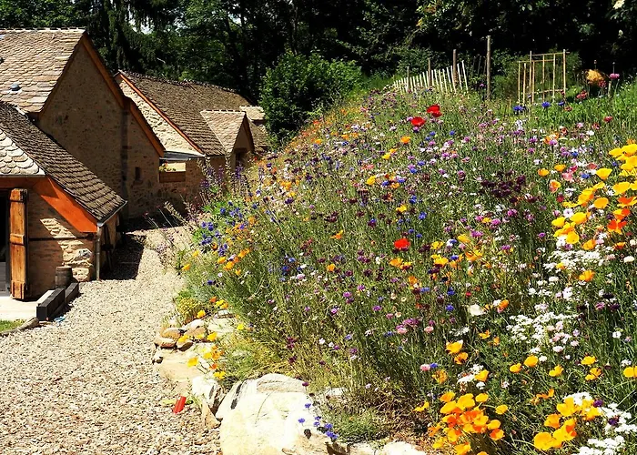 Domaine Des Marequiers Silene Saint-Germain-du-Teil